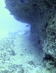 DSC00470