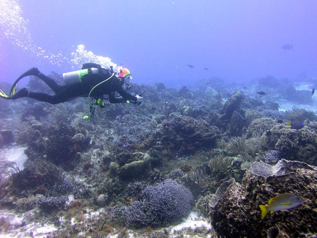 Christa on the Reef