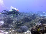 Christa on the Reef