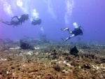 Divers on Reef