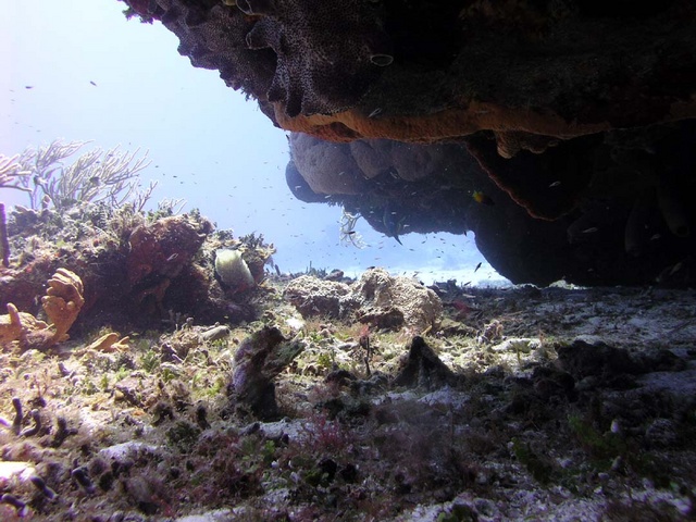 Reef Over-hang