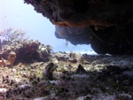 Reef Over-hang