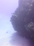 Reef Scape 6