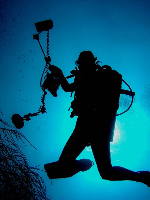 Diver Silhouette