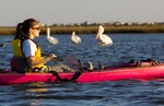 Kayaking with Pelicans