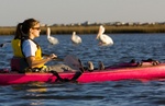 Kayaking with Pelicans
