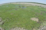 Fisheye Marsh