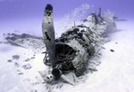 Corsair Plane Wreck